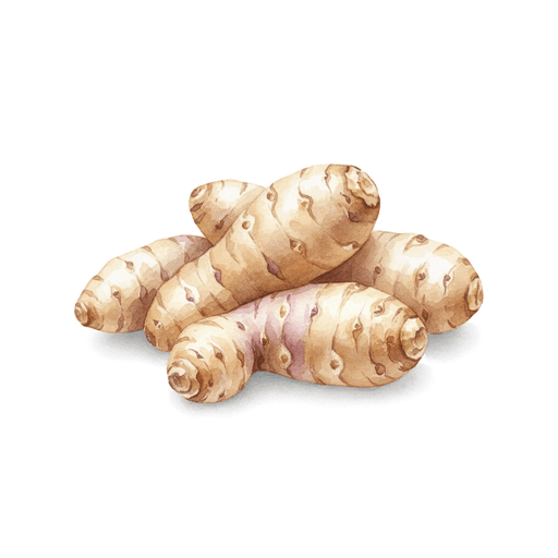 Topinambour